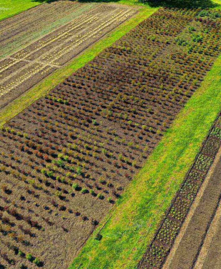 1 ar – ile to metrów? Prosty kalkulator online