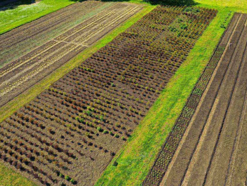 1 ar – ile to metrów? Prosty kalkulator online