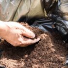 50 l ziemi – ile to kg? Przelicznik i kalkulator online