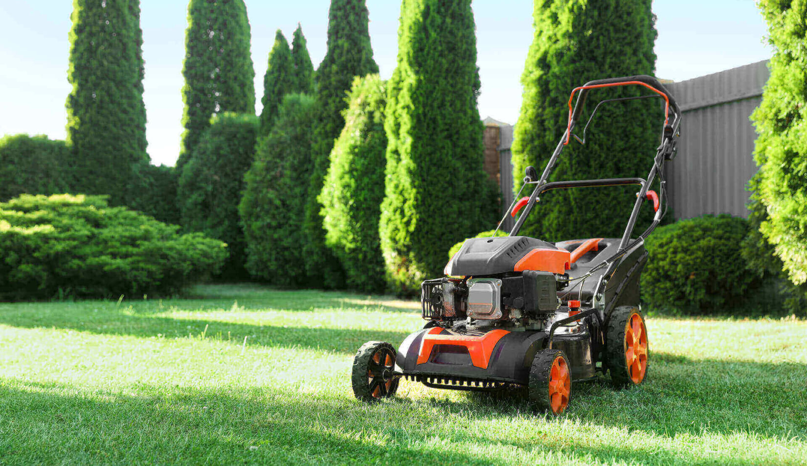 Jaka kosiarka spalinowa najlepsza? Poradnik