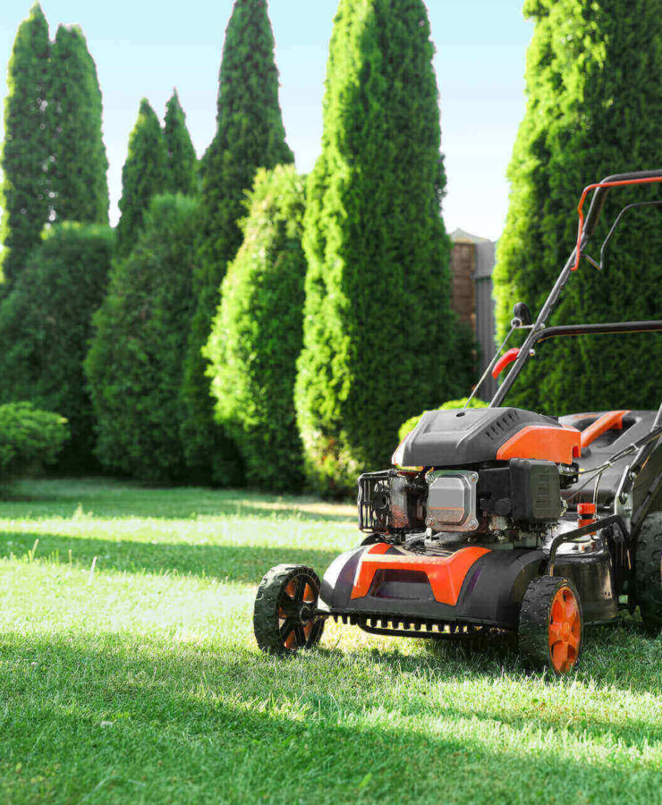 Jaka kosiarka spalinowa najlepsza? Poradnik