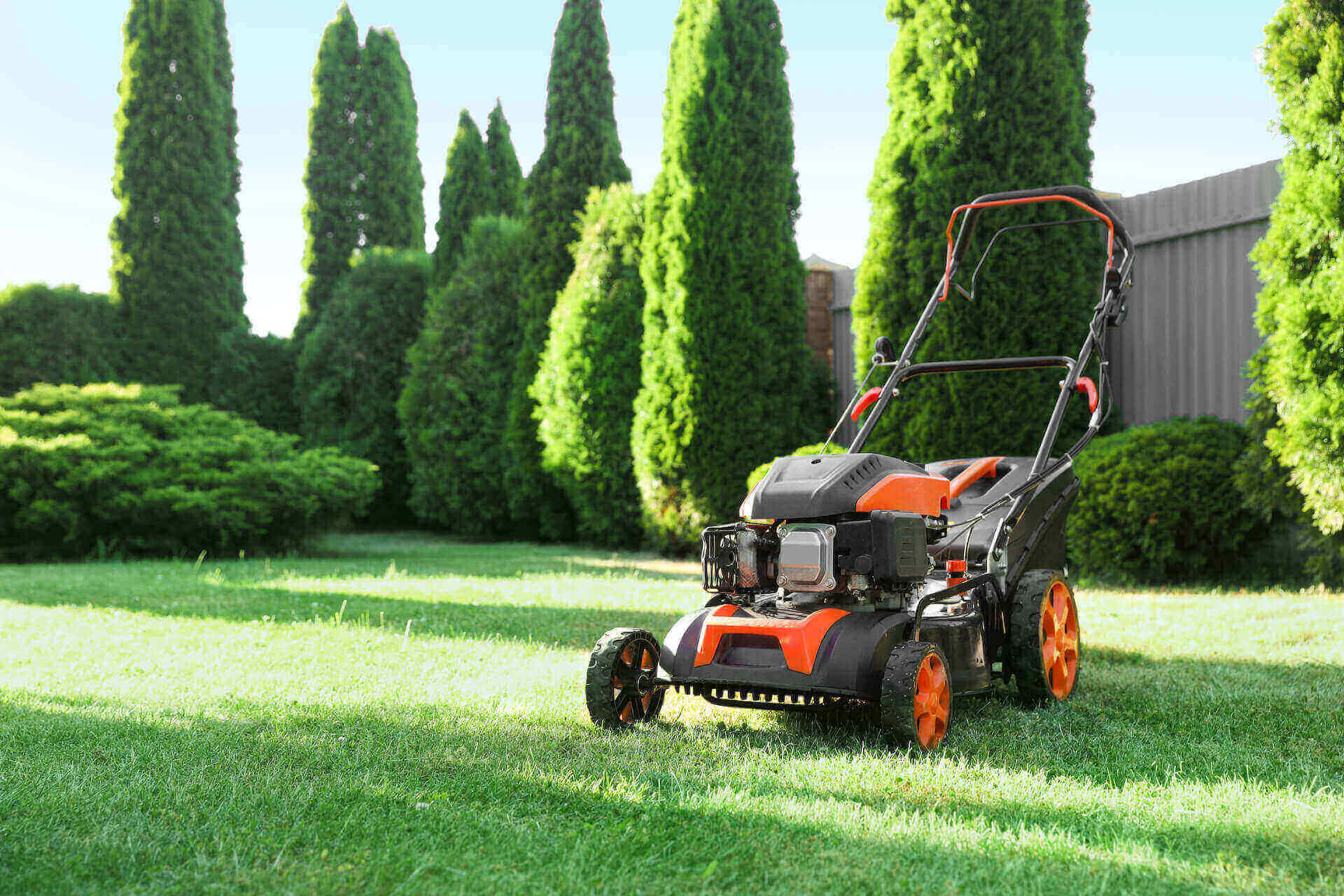 Jaka kosiarka spalinowa najlepsza? Poradnik